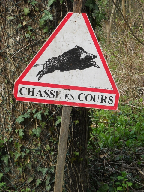 2015-04-05-bondoufle (06)