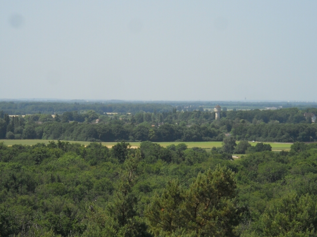2015-06-06-fontainebleau (10)