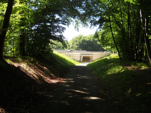 2015-06-06-fontainebleau (13)