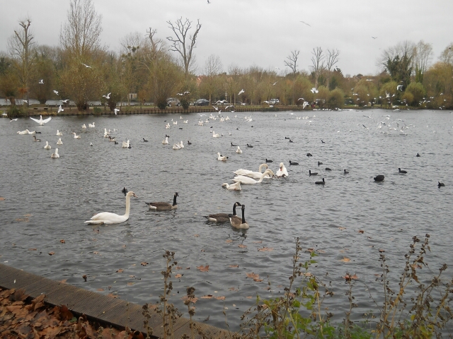 2015-11-29-bondoufle (13)