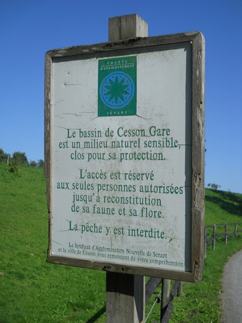 2015-09-27- vert-saint-denis (16)
