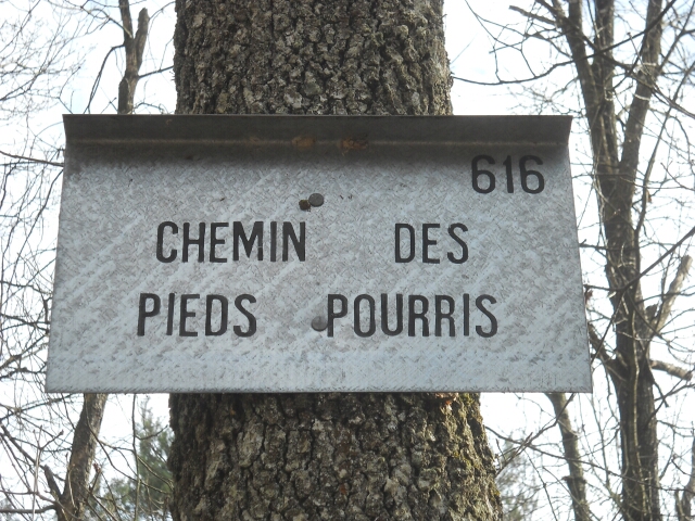 2015-03-22-fontainebleau (35)