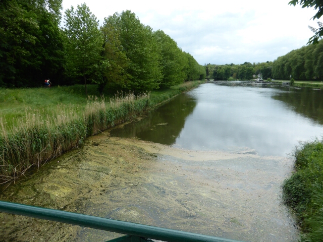 2015-05-15-chatillon-sur-loire (061)