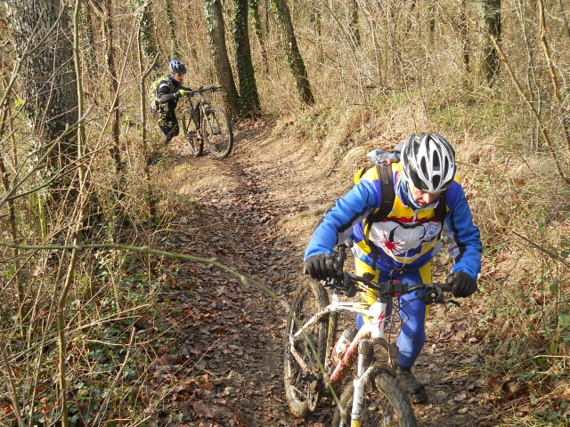 2015-01-04-champcueil (10)