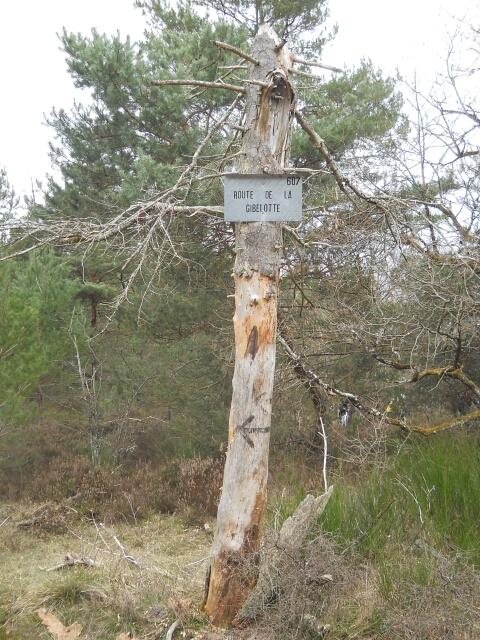 2015-03-22-fontainebleau (34)