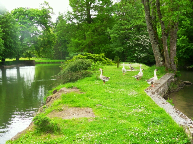 2015-05-14-cosne-sur-loire (040)