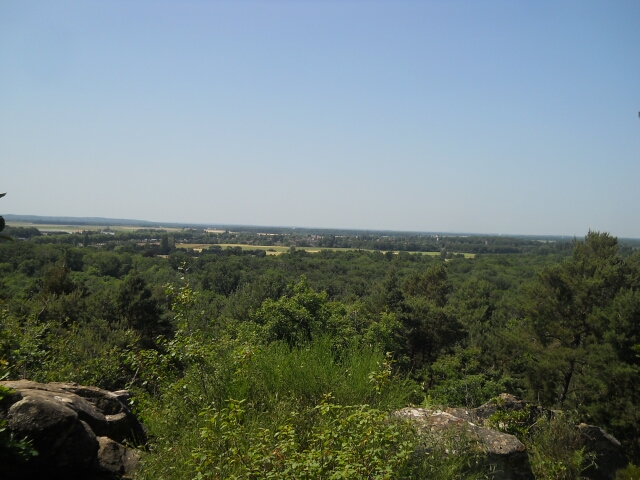 2015-06-06-fontainebleau (09)
