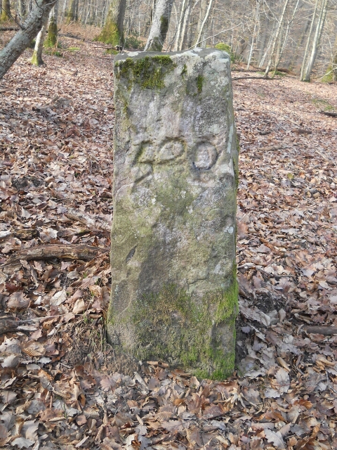 2015-02-08-dammarie-les-lys (13)