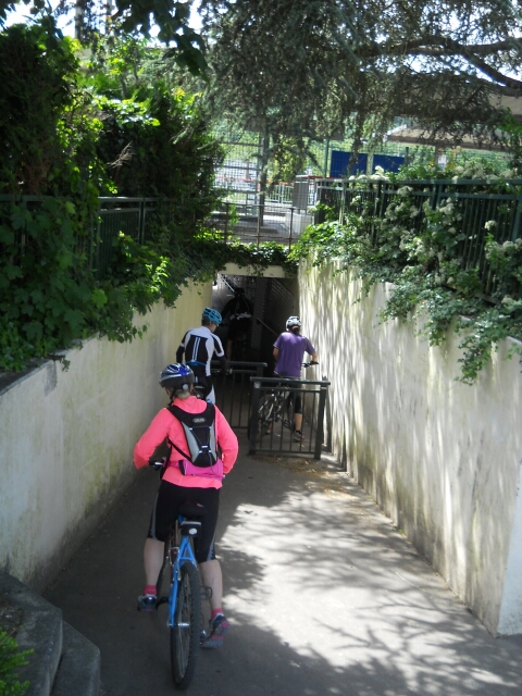 2015-05-29-boissy-sous-saint-yon (14)