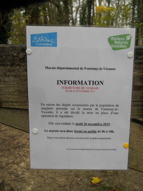 2015-11-21-mennecy (02)