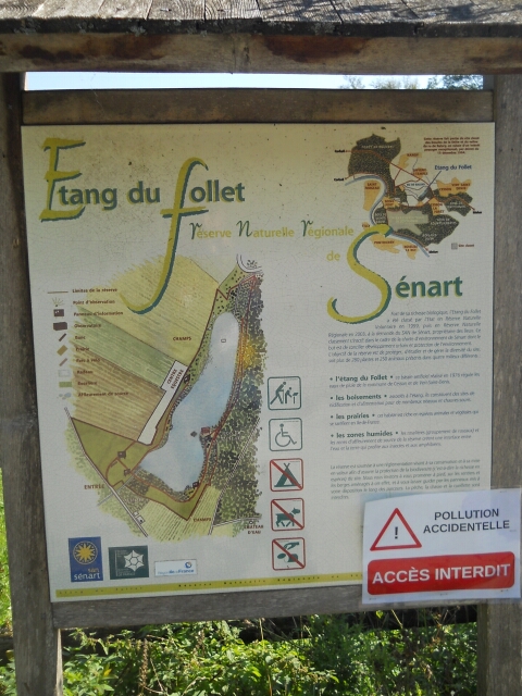 2015-09-27- vert-saint-denis (17)