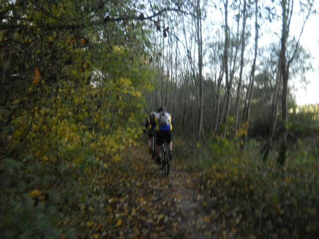2015-10-30-bondoufle (06)