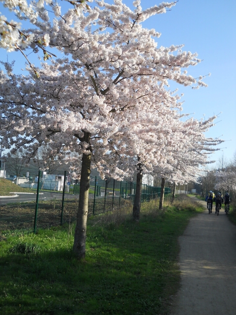 2015-04-06-bondoufle (03)