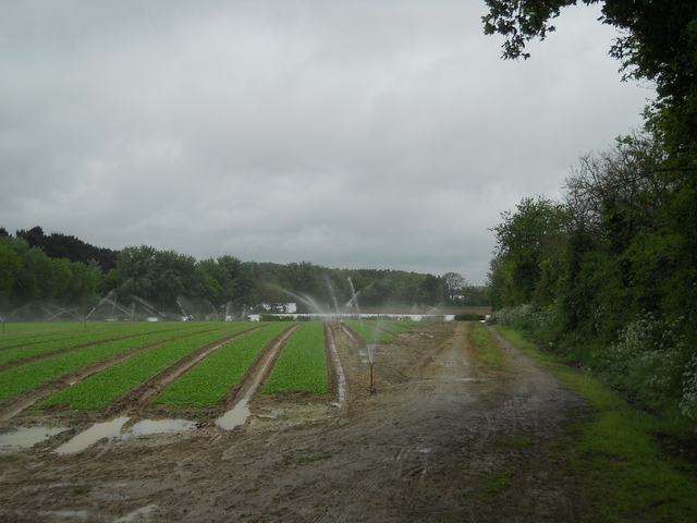 2015-04-26-fresnay-en-retz (14)