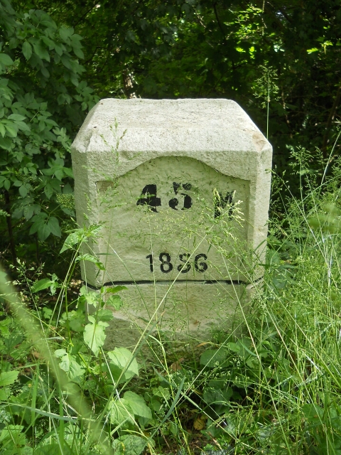 2015-05-15-chatillon-sur-loire (063)