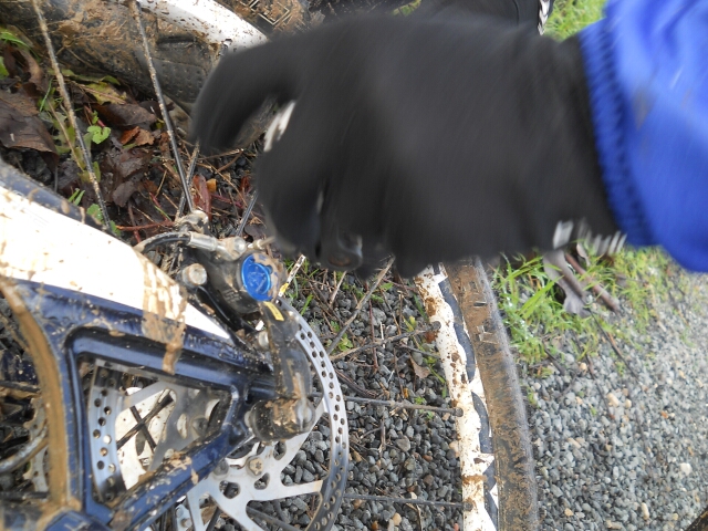 2015-01-04-champcueil (04)