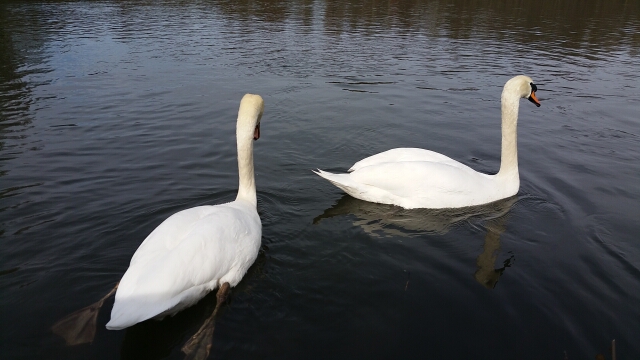 2015-03-07-itteville (05)