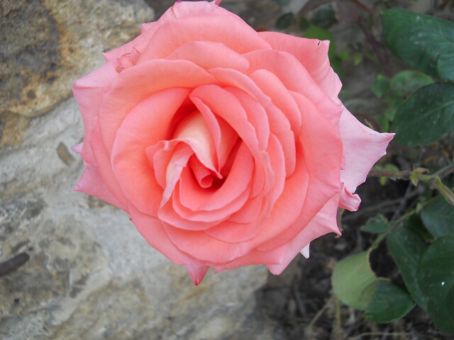 2015-06-14-gif-sur-yvette (19)