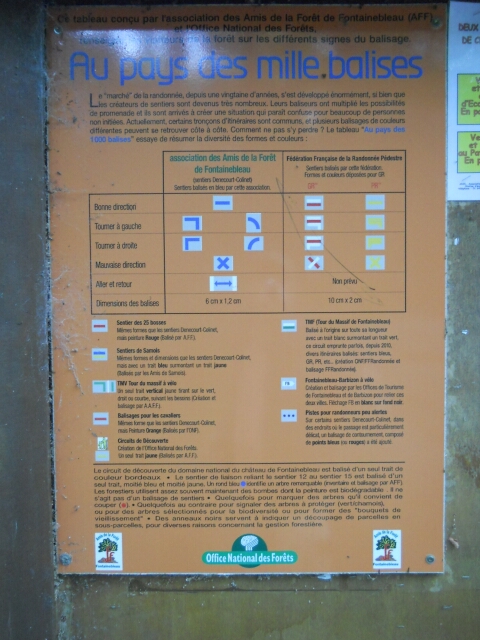 2015-08-26-noisy-sur-ecole (03)