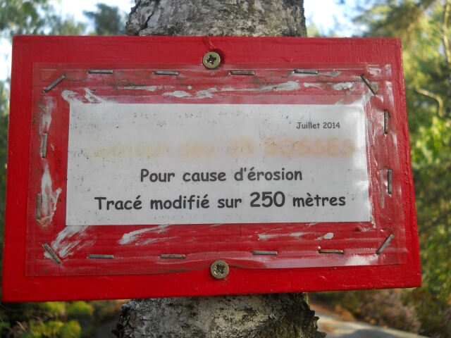 2015-08-26-noisy-sur-ecole (16)