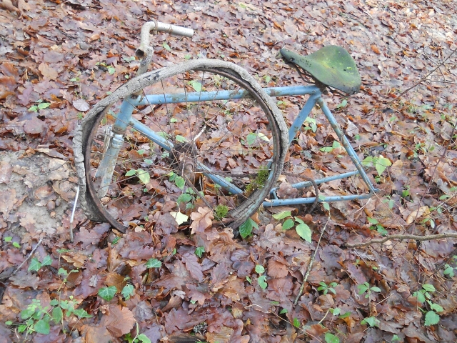2015-01-04-champcueil (08)