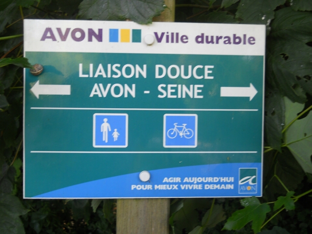 2015-06-06-fontainebleau (35)