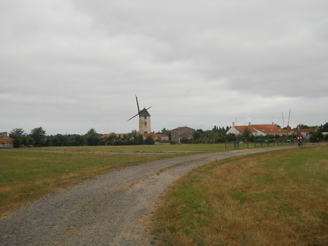 2015-07-14-sallertaine (03)