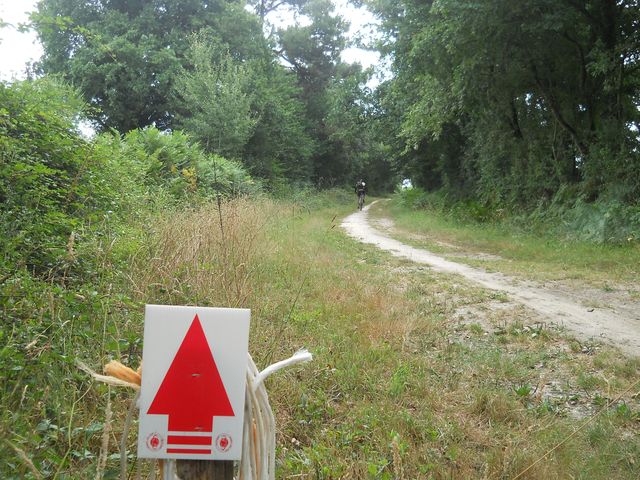 2015-07-15 la-roche-sur-yon (14)