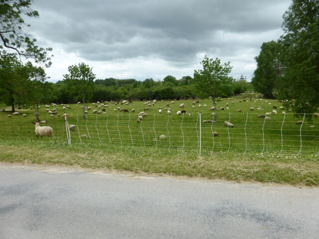 2015-05-15-chatillon-sur-loire (057)