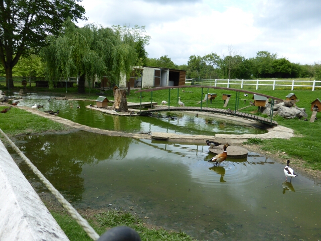 2015-05-15-chatillon-sur-loire (089)