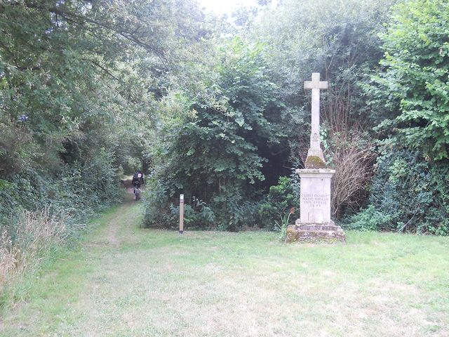 2015-07-15 la-roche-sur-yon (15)