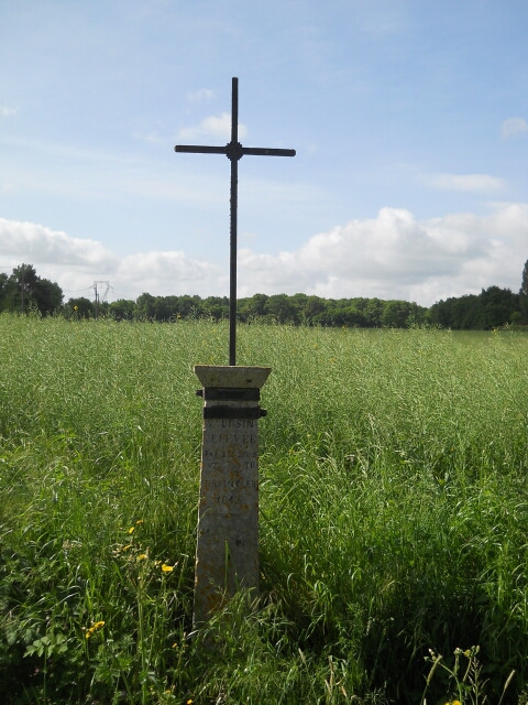 2015-05-15-chatillon-sur-loire (026)