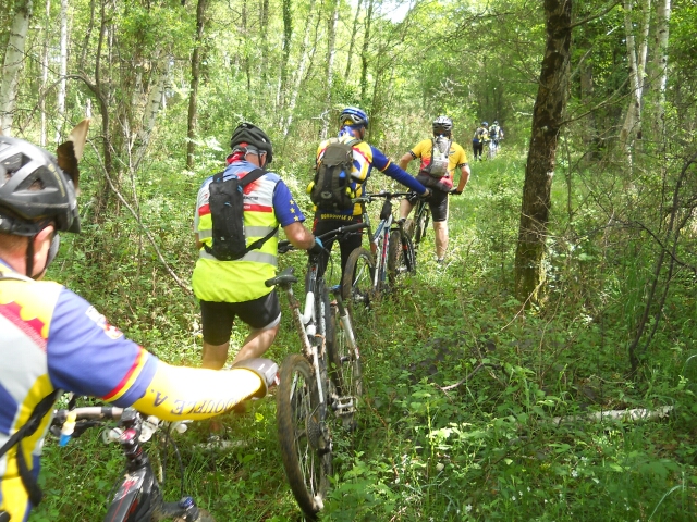 2015-05-15-chatillon-sur-loire (035)