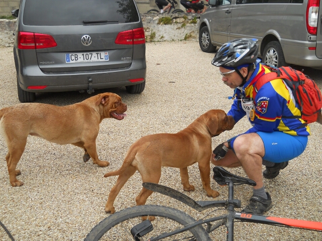 2015-05-31-itteville (04)