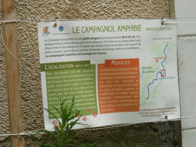 2015-07-05-philibertine (18)