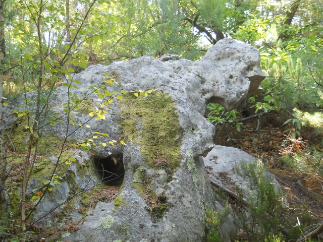 2015-08-26-noisy-sur-ecole (35)