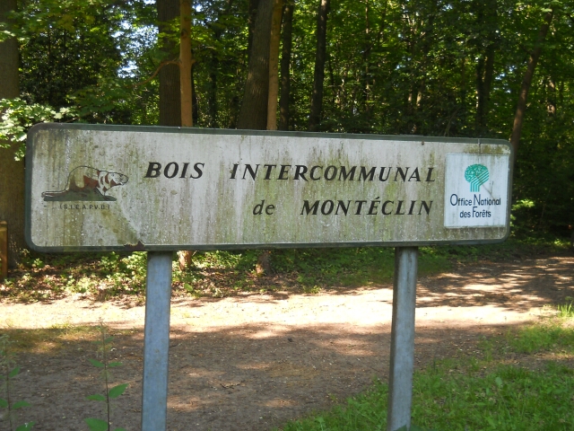 2015-06-05-palaiseau (09)
