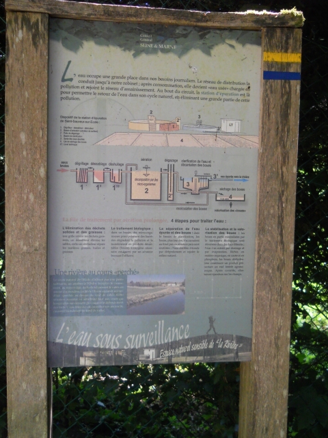 2015-06-06-fontainebleau (05)