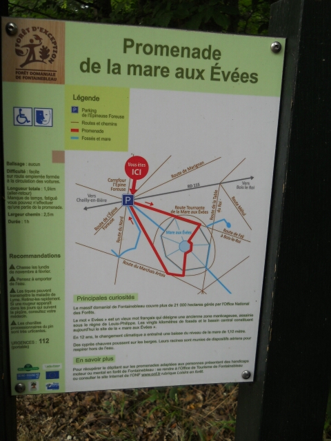 2015-06-21_fontainebleau (11)