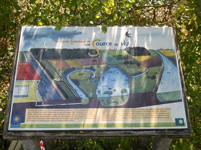 2015-09-27- vert-saint-denis (18)