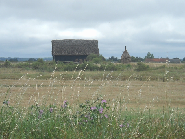2015-07-20-notre-dame-de-monts (02)