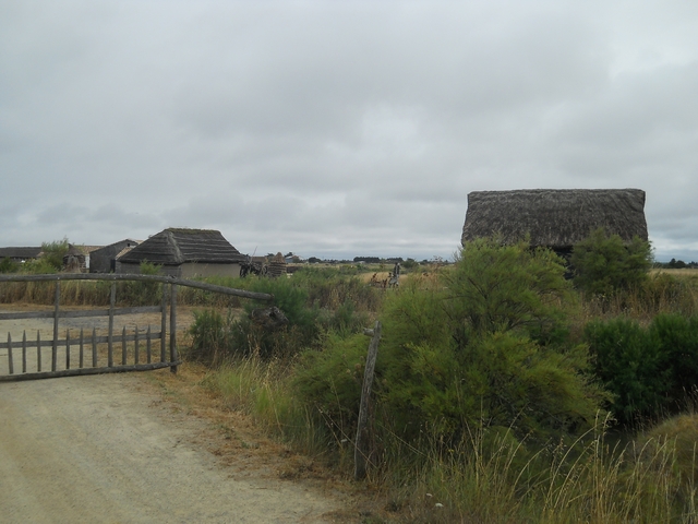 2015-07-20-notre-dame-de-monts (04)