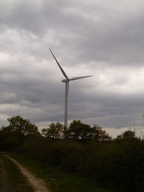 2016-04-24-saint-hilaire-de-chaleons (23)