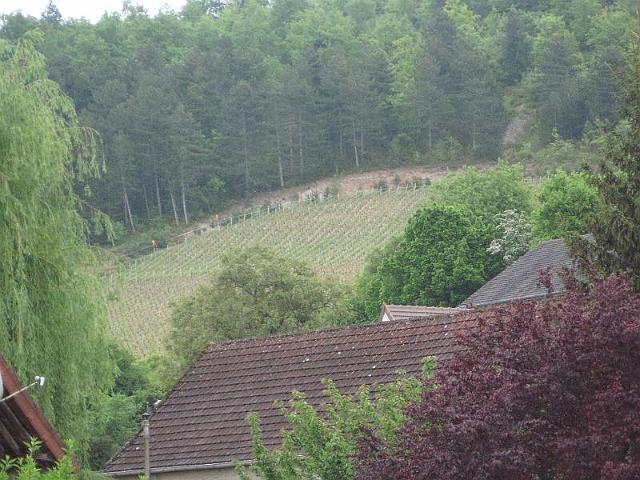 2010-05-15-beaune (032)