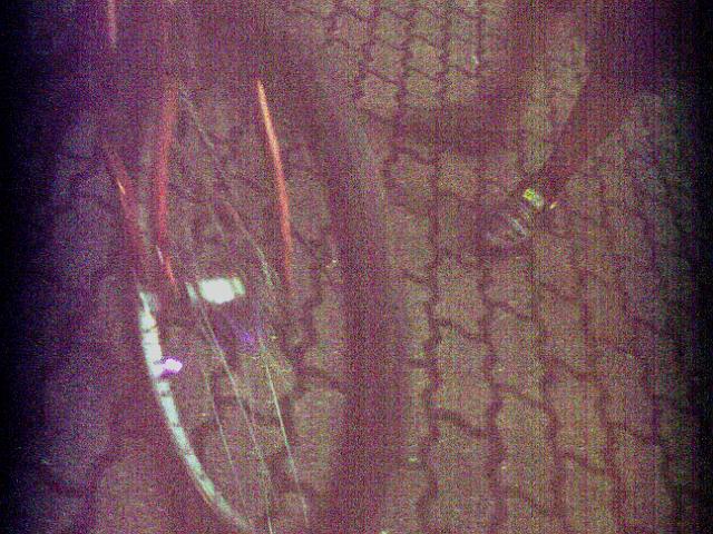2010-06-12-nuit vtt orge (08)