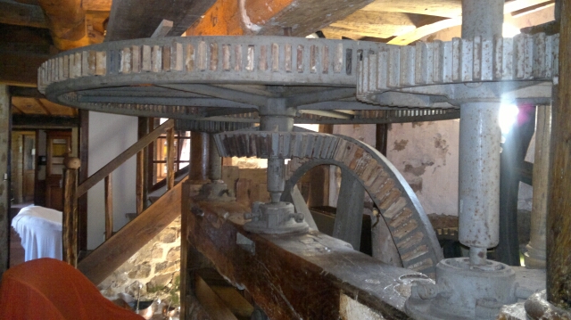 2013-06-20-milly (10)