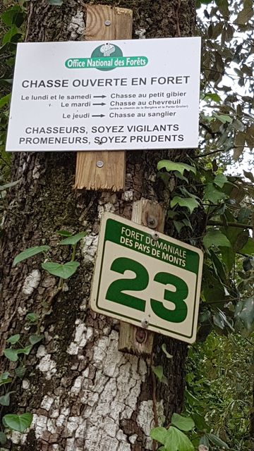 2017-04-05 - saint-jean-de-monts (12)