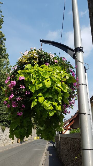 2017-08-23 - corbeil-essonnes (09)
