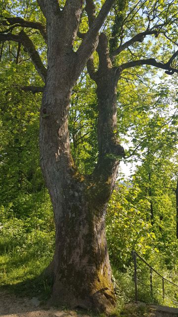 2018-05-05 - charleville-mezieres (35)