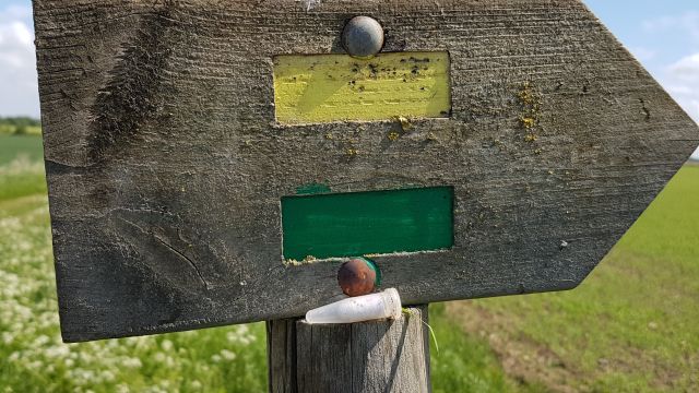 2018-05-11 - crecy-sur-serre (28)